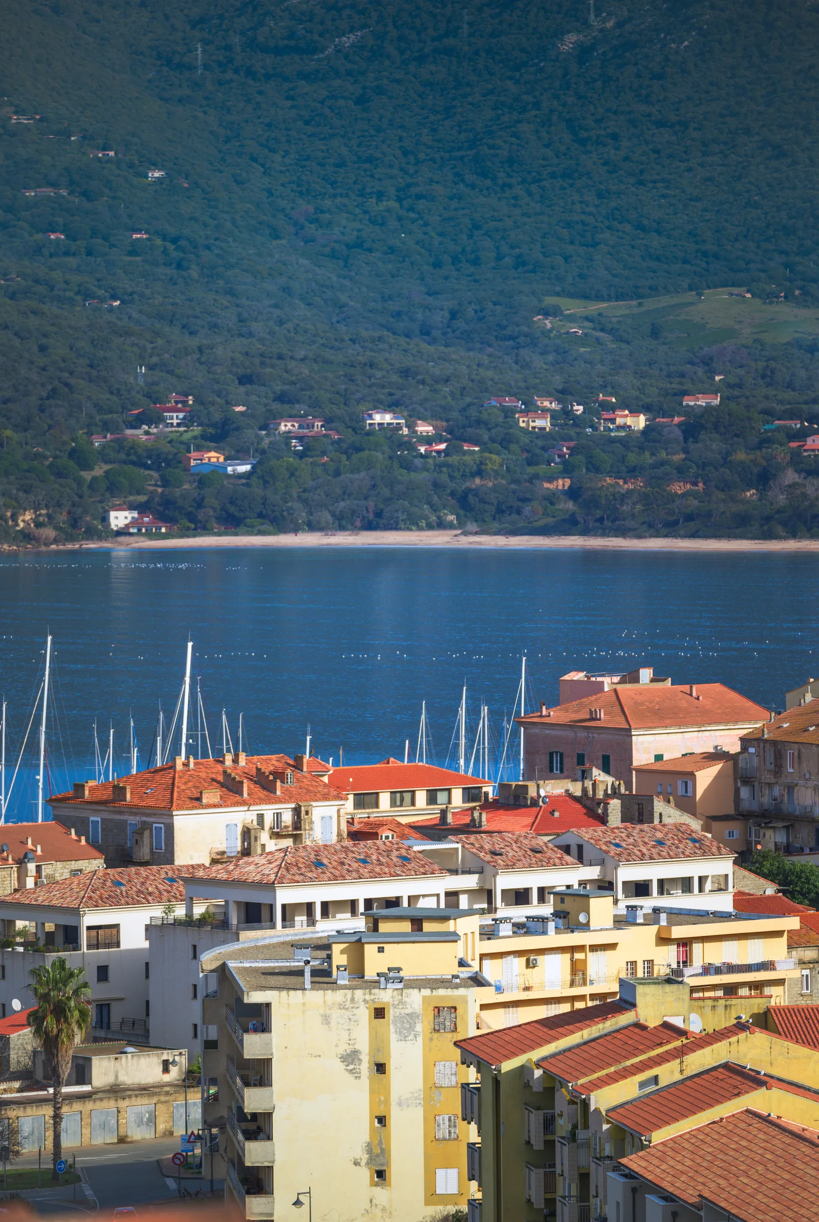Réalisation Maquis Bella Vista